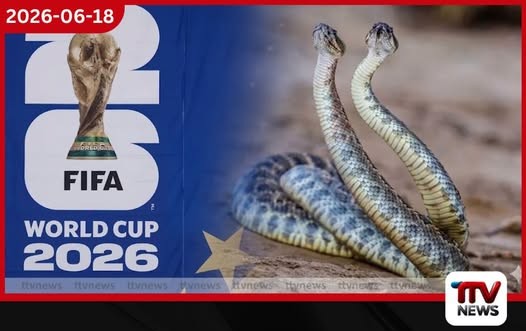 FIFA ලෝක කුසලානයට සර්ප ප්රහාරයක්