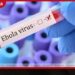 කොංගෝවේ ඉබෝලා ව්යාප්තිය පාලනයෙන් ගිලිහෙයි