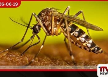 ඩෙංගු මරණ 27න්  21ක්ම කාන්තාවන් මදුරුවන් බෝ කළ ස්ථාන 2,000කට නීතිමය පියවර