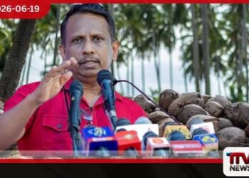 පොල් ගෙඩියට සහතික මිලක් ලැබෙයිද?