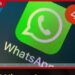 WhatsApp බලය ඇමෙරිකාවෙන් ඉන්දියාවට! Meta සමාගමේ තීරණාත්මක වෙනසක්
