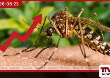 ලංකාවේ ඩෙංගු අවදානම ඉහළට