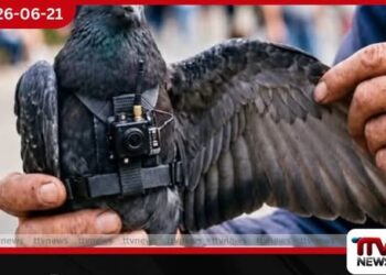 චීන ඔත්තුකාරයෙකු යැයි සැක කොට පරෙවියෙක් මාස 8ක් රඳවාගෙන
