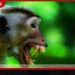 වනසත්ත්ව සංගණනයේ දත්ත තවමත් අභිරහසක්