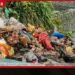 හැටන් – දික්ඔය නගර සභාවේ කසළ කාසල්රි ජලාශයට මුදා හැරේ