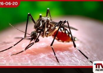 රට පුරා ඩෙංගු රෝගීන් 45,000 ඉක්මවයි