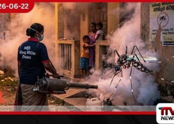 ඩෙංගු වසංගතයක් දක්වා වර්ධනය වෙයි