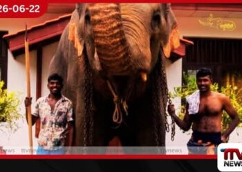 සංඛ රාජාගේ පහරදීමෙන් දිවි අහිමි වූ ඇත්ගොව්වා සහ සහායකයා