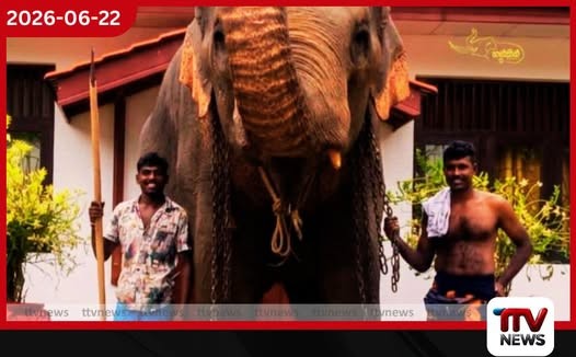 සංඛ රාජාගේ පහරදීමෙන් දිවි අහිමි වූ ඇත්ගොව්වා සහ සහායකයා