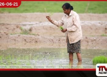 එල් නිනෝ තත්ත්වය හමුවේ  ශ්‍රී ලංකාවේ කෘෂිකාර්මික අංශය  සූදානම්ද?