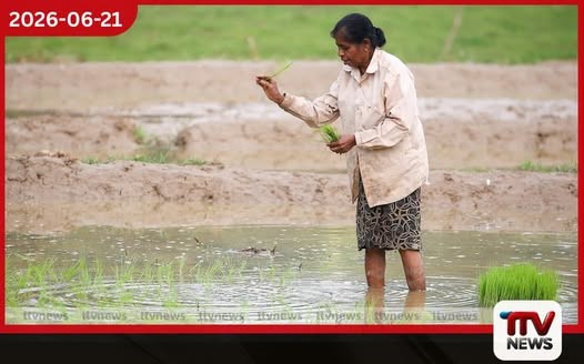 එල් නිනෝ තත්ත්වය හමුවේ ශ්රී ලංකාවේ කෘෂිකාර්මික අංශය සූදානම්ද?