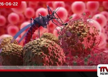 වසංගතයක් කරා ඇදෙන ඩෙංගු… කීට විද්‍යාඥයින්ගේ අනතුරු ඇඟවීම් නිලධාරීන් නොතකා හරියි!