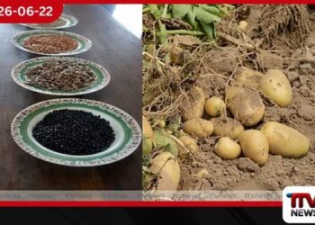 දේශීය බීජ නිෂ්පාදනය  අකර්මන්‍ය වීම සහ ආනයනික බීජ මාෆියාව