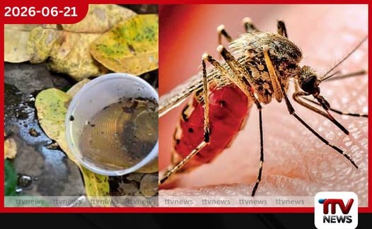 ඩෙංගු මදුරුවන් බෝ කළොත් නඩු මේ සතියේ පමණක් 76 දෙනෙකුට නීතියේ රැහැනට