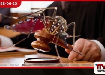 ඩෙංගු මාරයා නිවසේ දොරකඩටම ගෙනා 76 දෙනෙක් අත්අඩංගුවට