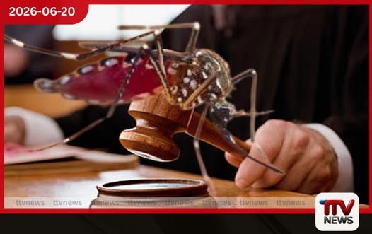ඩෙංගු මාරයා නිවසේ දොරකඩටම ගෙනා 76 දෙනෙක් අත්අඩංගුවට