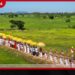 වෙහෙරගොඩයාය පුදබිම ආශ්‍රිතව  කටුගස්තොට උපරතන නාහිමි  ජාත්‍යන්තර බෞද්ධ මධ්‍යස්ථානයේ  ඉදිකිරීම් ඇරඹේ