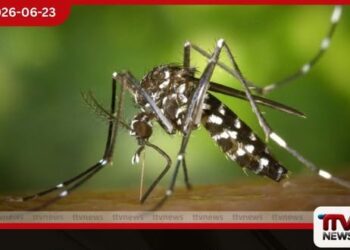 ඩෙංගු අවදානම ඉහළට