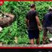ගහලා මරන එක නම් පව්… ගෙනිහිල්ලා දැම්මා නම් හරි!