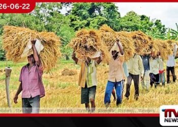යල කන්නයේ අස්වැන්න නෙළනවාත් සමඟම ගොවියාගෙන් වී මිලදී ගැනීමට රජය සූදානම්