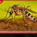 නරේන්ද්‍ර මෝදි සහ චීන විදේශ ඇමැති වැන්ග් යී අතර නවදිල්ලි නුවරදී විශේෂ හමුවක්