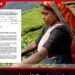 තේ කර්මාන්තයේ නව පරිවර්තනයක්!