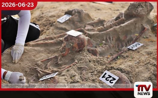 චෙම්මනි සමූහ මිනී වළෙන් තවත් සිරුරු 7ක අස්ථි කොටස් ගොඩ ගනී