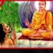 පොසොන් සතිය ප්රකාශයට මිහින්තලය බලා බැතිමතුන් ගලා එයි…