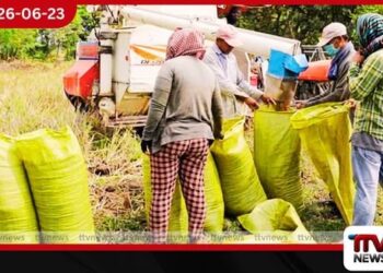 වී මිල පහත හෙළීමට එරෙහිව  තිරප්පනේ ගොවීන් පාරට බසී