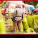 වී මිල පහත හෙළීමට එරෙහිව  තිරප්පනේ ගොවීන් පාරට බසී