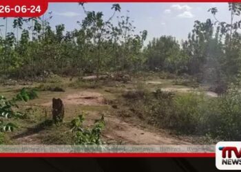 නැගෙනහිර පළාතේ  ඉඩම් ආරක්ෂා කිරීම සඳහා  විශේෂ කමිටුවක් සහ  පොලිස් ඒකකයක්