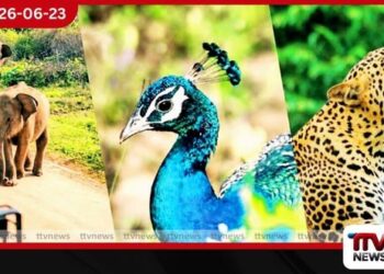 සත්ව සුබසාධන පනත් කෙටුම්පතට  අමාත්‍ය මණ්ඩල අනුමැතිය