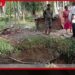 ධර්මපුරම්හිදී ළිඳකට වැටී දෙහැවිරිදි දැරියක් ජීවිතක්ෂයට
