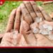 මොනරාගල ප්‍රදේශයට  අයිස් කැට සහිත  වර්ෂාවක්
