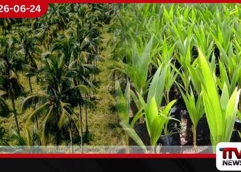පොල් වගාවට නව රක්ෂණ රැකවරණයක්