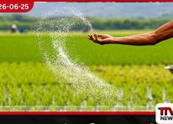 යල කන්නයට පොහොර අතිරික්තයක්