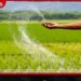 යල කන්නයට පොහොර අතිරික්තයක්