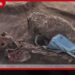 චෙම්මනි මිනිස් සුසාන භූමියේ ඛේදවාචකය එළියට…
