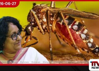ඩෙංගු නව ප්‍රභේදයකින් රෝග ව්‍යාප්තිය ඉහළට