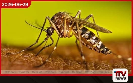 ඩෙංගු අධි අවදානම් සෞඛ්ය වෛද්ය නිලධාරි කොට්ඨාස 124 දක්වා ඉහළට