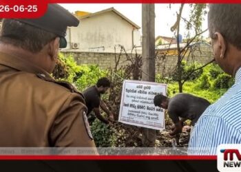 ඩෙංගු අවදානම ඉහළට