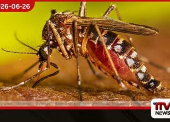 2026 උසස් පෙළ විභාගය  සැලසුම් කළ පරිදි  අගෝස්තු 10 වැනිදා