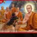 දහම් සිසිලෙන් ලොව නැහැවෙන  පින්බර  පොසොන්  පොහෝ දිනයක් වේවා!