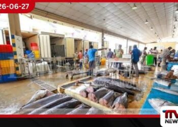 පෑලියගොඩ මාළු මිල පහතට