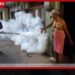 මදුරු මර්දනයට  සිදුකරන ධූමායනය පරිසරයට හානියක්