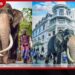 වාහන ආනයන බදු ආදායම් අඩුවීමක්? 2026දී ශ්‍රී ලංකාවේ රාජ්‍ය ආදායම පහළට!