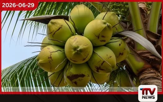 ලොග්ගල්ලා ඔය ජලාශයේ පාරුවක් පෙරළී උපන්දින සාදයකට ආ දෙදෙනෙක් ජීවිතක්ෂයට