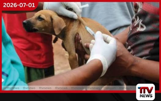ජලභීතිකා රෝගය තුරන් කිරීමේ සහ සුනඛයින් ලියාපදිංචි කිරීමේ පනත් කෙටුම්පතට කැබිනට් අනුමැතිය
