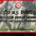 ඩෙංගු අවදානම හේතුවෙන් සෞන්දර්ය කලා විශ්වවිද්යාලය ජූලි 13 දක්වා තාවකාලිකව වැසේ