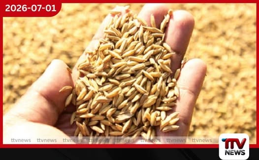 2026 යල කන්නයේ වී මිලදී ගැනීමට රුපියල් මිලියන 6,000ක ප්රතිපාදන